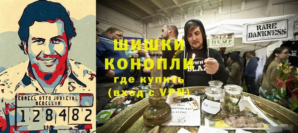 амф Верхний Тагил
