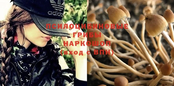 скорость Володарск