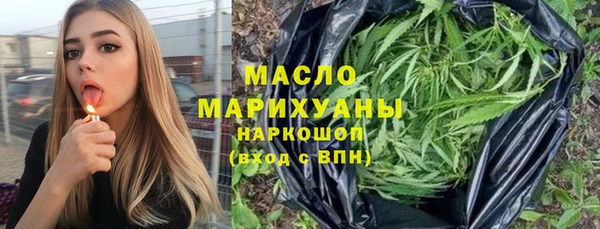амф Верхний Тагил