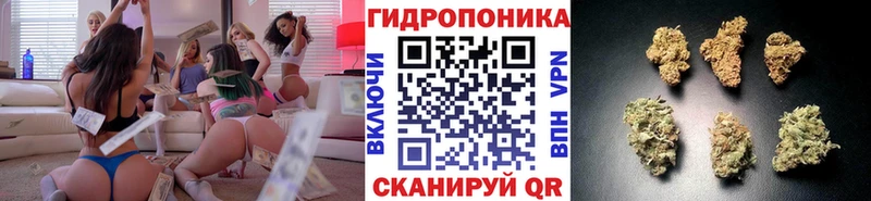 купить закладку  Подольск  mega онион  МАРИХУАНА Amnesia 